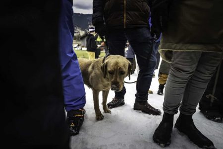 bayerische-meisterschaft-slopestyle-snowboard-freeski-2023-bild-sebastian-schulte-50